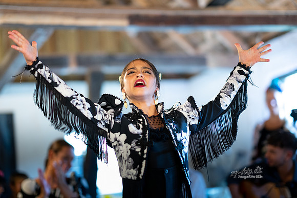 Flamenco - Nøset-web - Fotograf Per Bille-20220821DSC03049