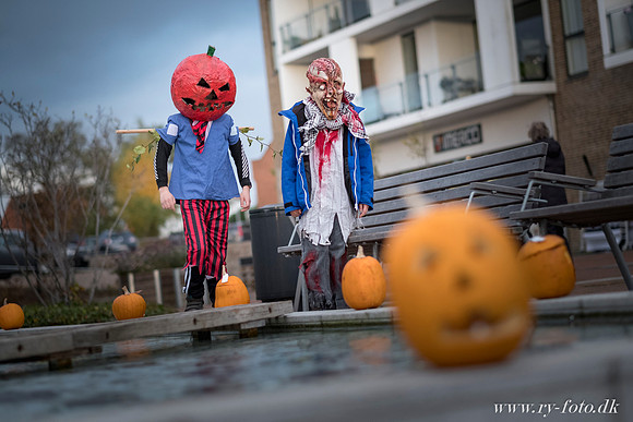 web Halloween Ry 2016 - Fotograf Per Bille-20161028-8818