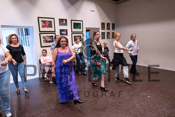 Flamenco, Jerez-web-Fotograf_Per_Bille-20221020DSC09235