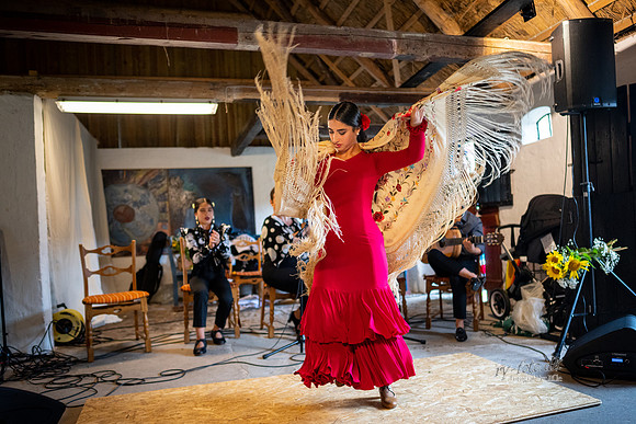 Flamenco - Nøset-web - Fotograf Per Bille-20220821DSC03077