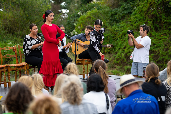 Flamenco - Nøset-web - Fotograf Per Bille-20220821DSC02793