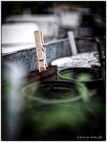 drivhus GFX-fotograf Per Bille-20170410-4144