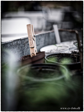 drivhus GFX-fotograf Per Bille-20170410-4144