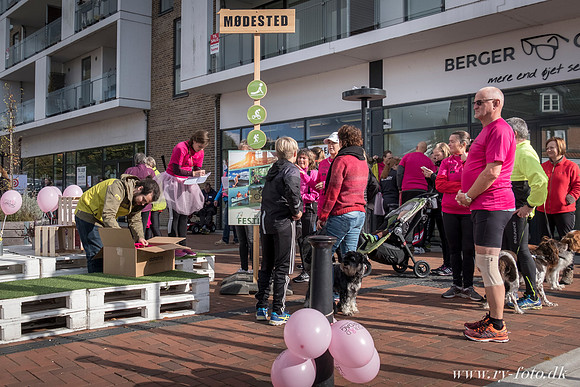 Web- Lyserød lørdag Ry - fotograf Per Bille-20161008-5286