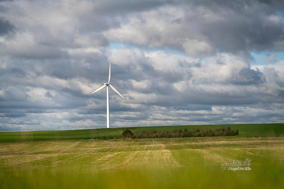 Vindmølle- print- Fotograf_Per_Bille-20201014-07341