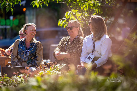 stemning Onsdag-web-Fotograf Per Bille-20250625-AAA03450