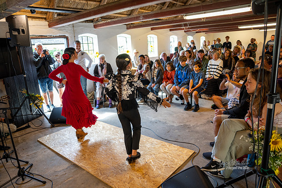 Flamenco - Nøset-web - Fotograf Per Bille-20220821DSC03512