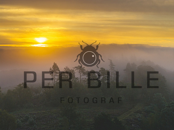 Slangebakken-web-Fotograf Per Bille 20250902-3