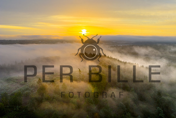 Slangebakken-web-Fotograf Per Bille 20250902-5