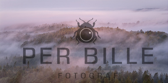 Slangebakken-web-Fotograf Per Bille 20250902-8