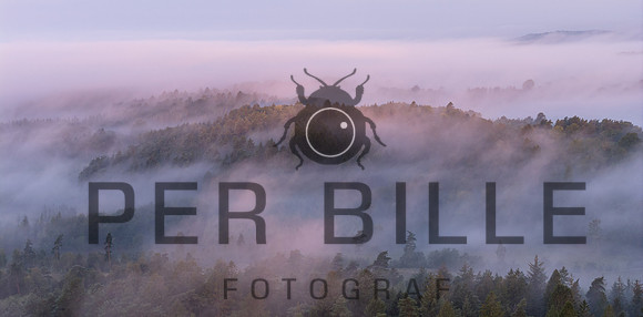 Slangebakken-web-Fotograf Per Bille 20250902-9