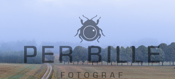 Slangebakken-web-Fotograf Per Bille 20250902-10