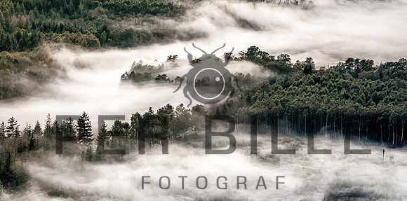 Gudenåen-web-Fotograf Per Bille 20250901-2