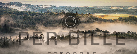 Gudenåen-web-Fotograf Per Bille 20250901-5