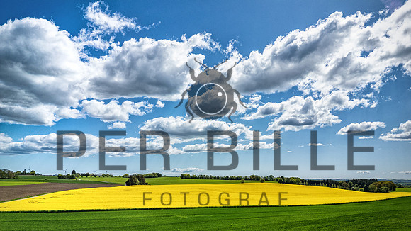 Rapsmark-print-Fotograf Per Bille 20250505
