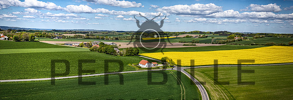 Rapsmark-print-Fotograf Per Bille 20250505-4