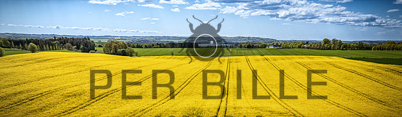 Rapsmark-print-Fotograf Per Bille 20250505-3