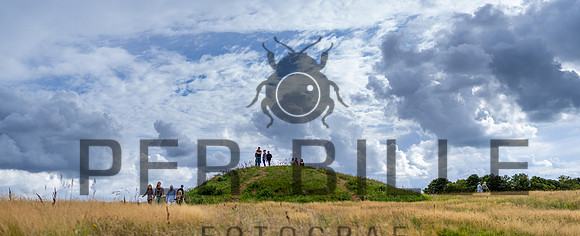 Stedkendt -Kildebjerg-web-Fotograf Per Bille 20250829-4