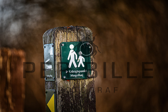 -web-Fotograf Per Bille 20250301
