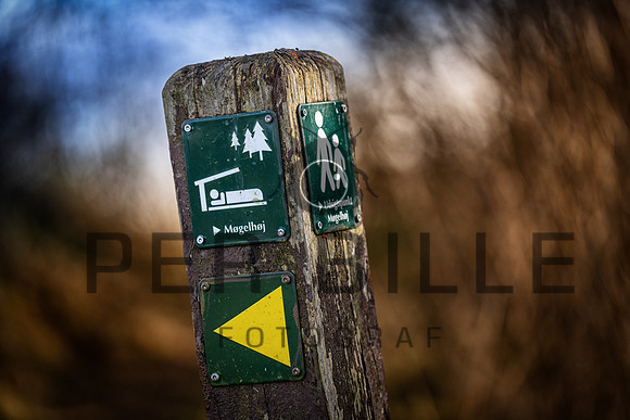 -web-Fotograf Per Bille 20250301-2