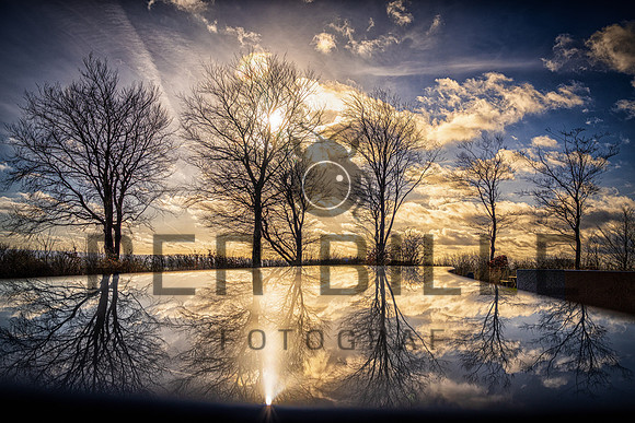 -web-Fotograf Per Bille 20250301-3