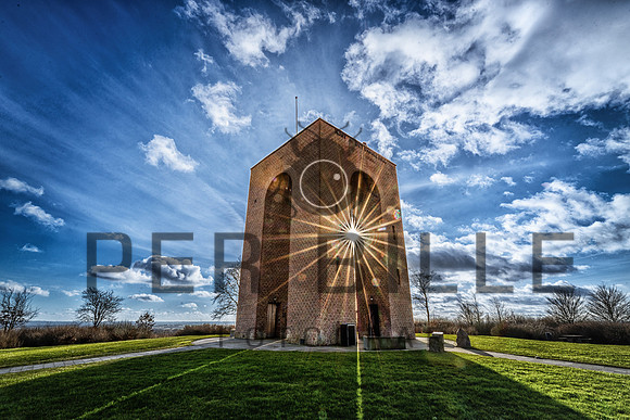 -web-Fotograf Per Bille 20250301-8