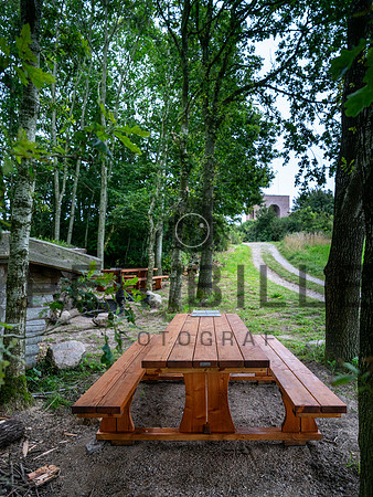 -web-Fotograf Per Bille 20250814-3
