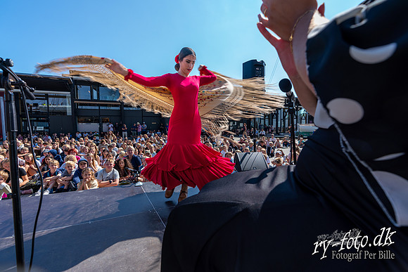 Flamenco - fregatten jylland-web m logo -Fotograf Per Bille-220824-DSA00465