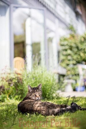 Anne og Anna-20140701-7964