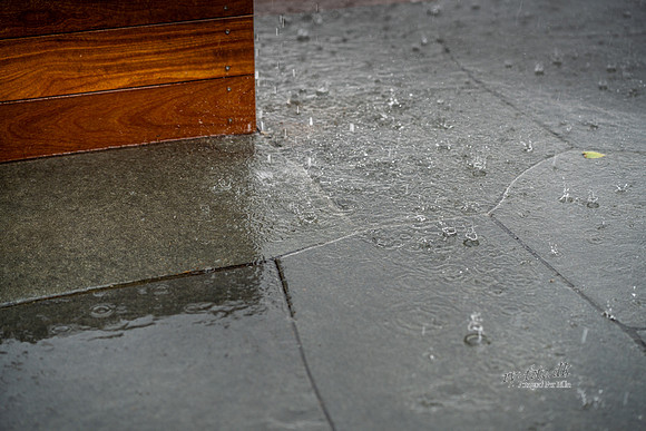 Stoneart - Midtjylland-web-Fotograf Per Bille-20250902-AAA04985
