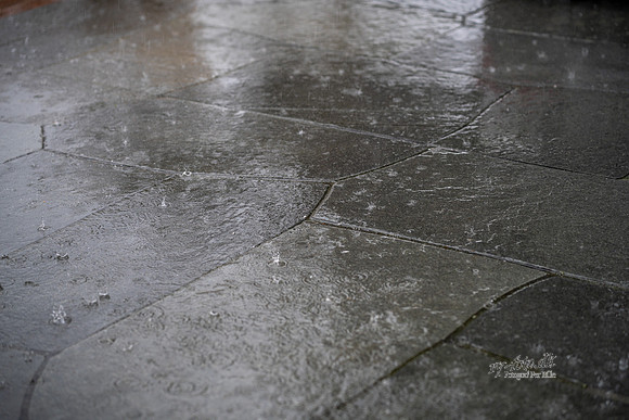 Stoneart - Midtjylland-web-Fotograf Per Bille-20250902-AAA04992