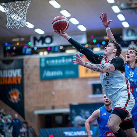 Bakken Bears - BMS Herlev-web-Fotograf Per Bille 20260120-DSC07801