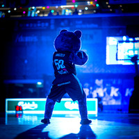 Bakken Bears - BMS Herlev-web-Fotograf Per Bille 20260120-DSC07949