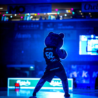 Bakken Bears - BMS Herlev-web-Fotograf Per Bille 20260120-DSC07968