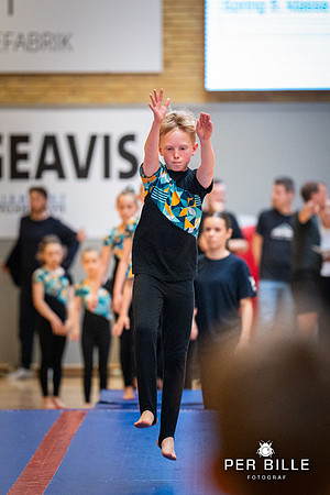Ry gymnastik forening - opvisning 2026-fb- Fotograf Per Bille-marts 21, 2026DSC03341