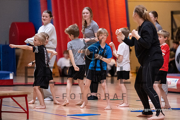 Ry Gymnastikopvisning-4332