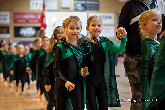 Ry Gymnastikopvisning-4184