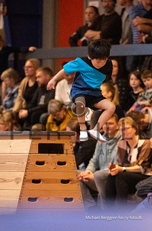 Ry Gymnastikopvisning-4315