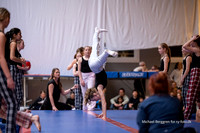 Ry Gymnastikopvisning-4399