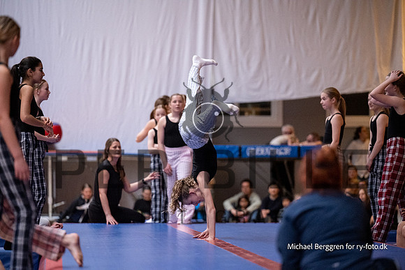 Ry Gymnastikopvisning-4399