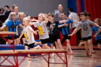 Ry Gymnastikopvisning-4331