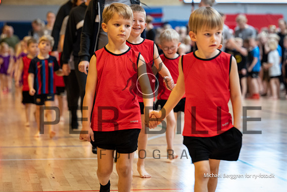 Ry Gymnastikopvisning-4187