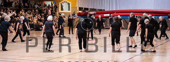 Ry Gymnastikopvisning-4300