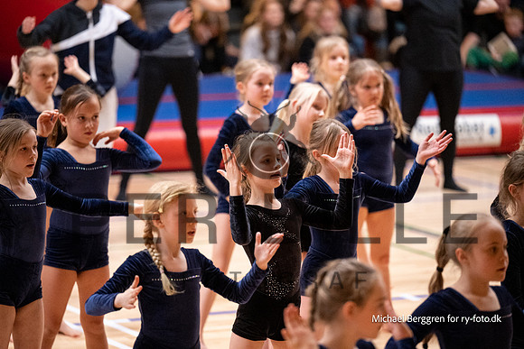 Ry Gymnastikopvisning-4446
