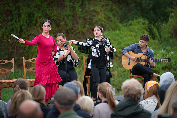 Flamenco - Nøset-print - Fotograf Per Bille-20220821DSC02810
