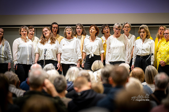 Kordag - Ry-web- Fotograf Per Bille-20260418-DSC03108