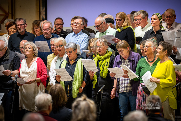 Kordag - Ry-web- Fotograf Per Bille-20260418-DSC03543