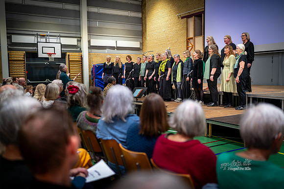 Kordag - Ry-web- Fotograf Per Bille-20260418-AAA00002
