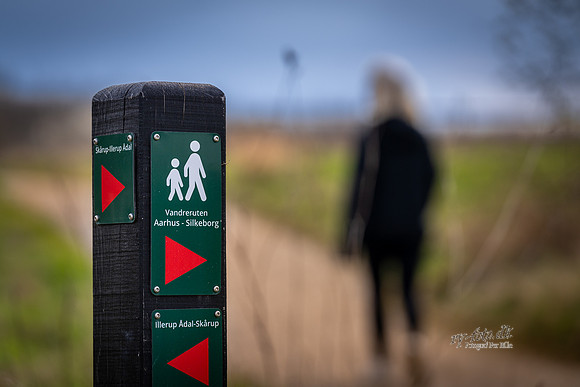 vandrerute-web- Fotograf Per Bille-20260418-AAA09567