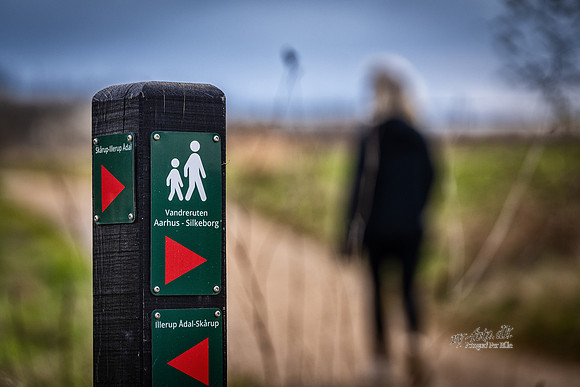 vandrerute-web- Fotograf Per Bille-20260418-AAA09567EDIT